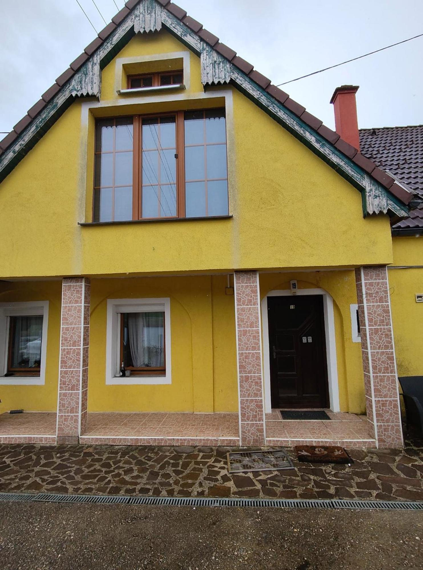 Pension Donaublick Grein 2 In Stifterstrasse19. Lejlighed Eksteriør billede