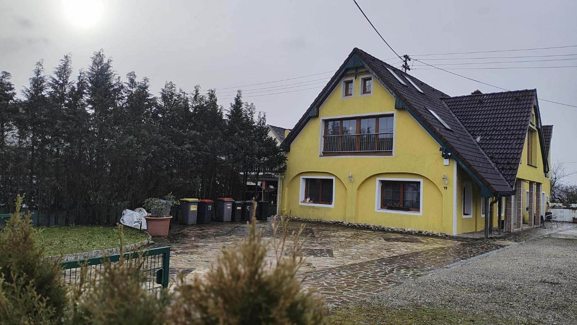 Pension Donaublick Grein 2 In Stifterstrasse19. Lejlighed Eksteriør billede